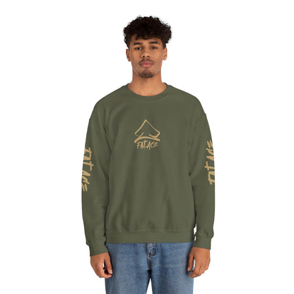 FS - DC