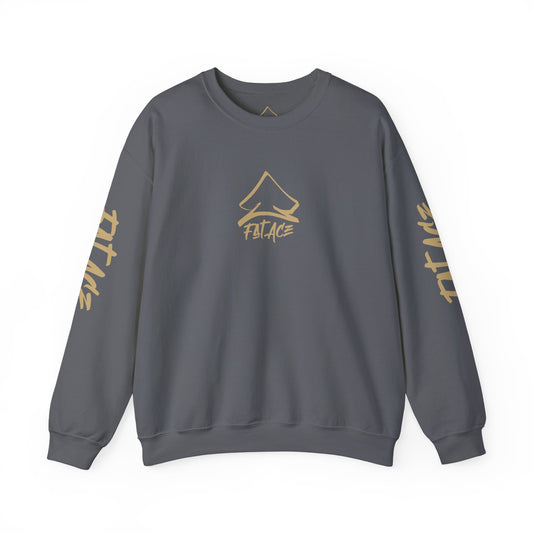 FS - CG